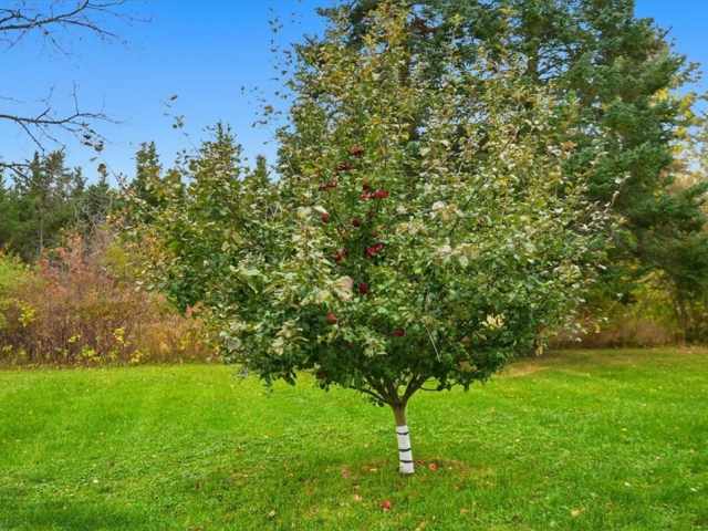 Ladysmith Residential Real Estate