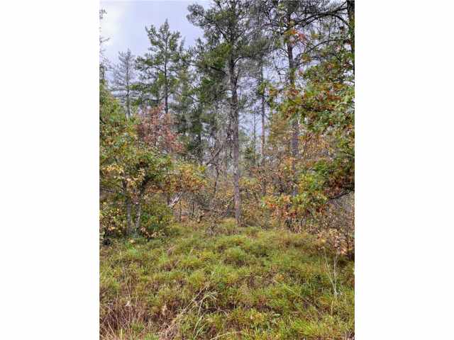 Gordon Residential Real Estate