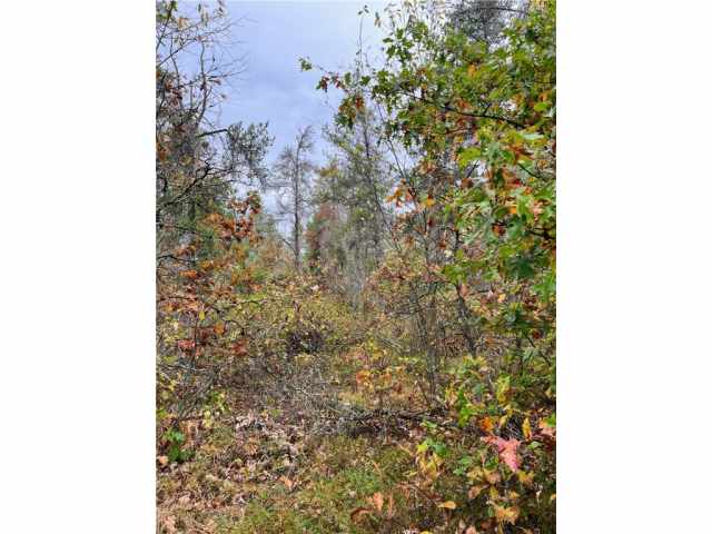 Gordon Residential Real Estate