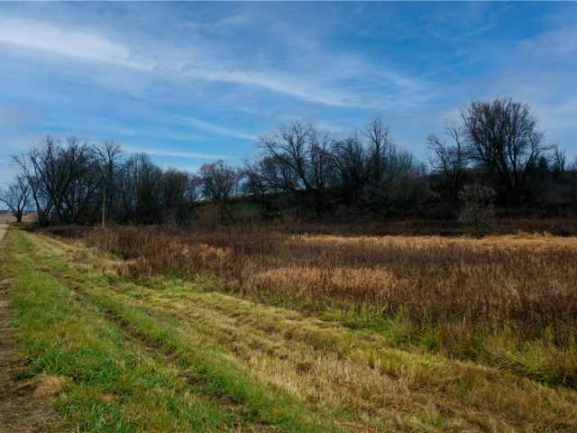 Eleva Land Real Estate