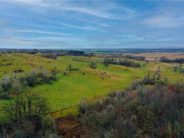 Eleva Land Real Estate