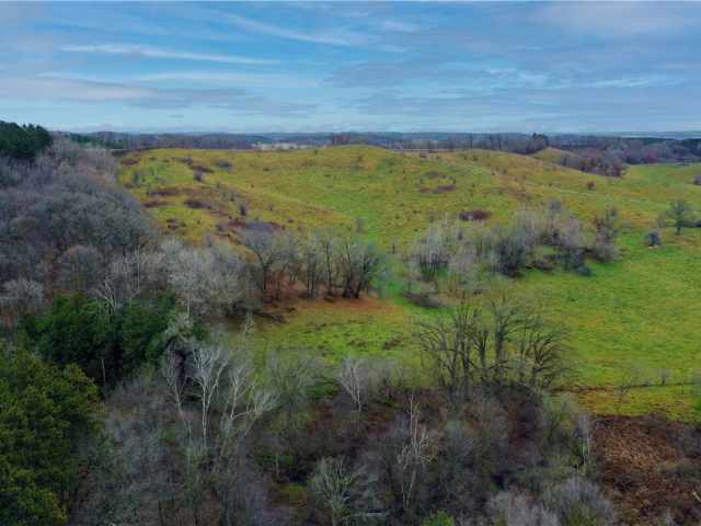 Eleva Land Real Estate