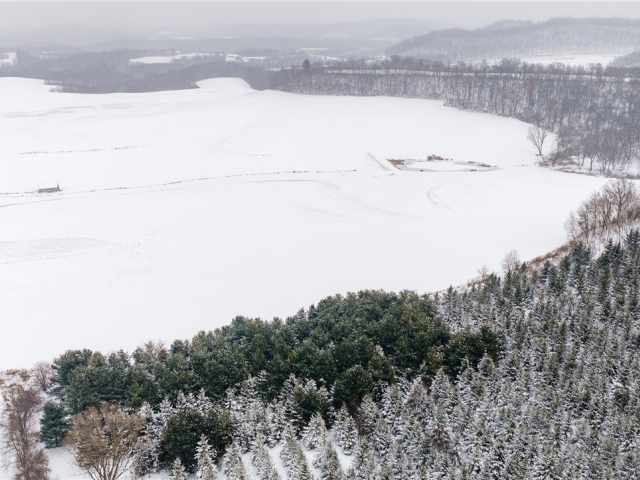 Arcadia Land Real Estate