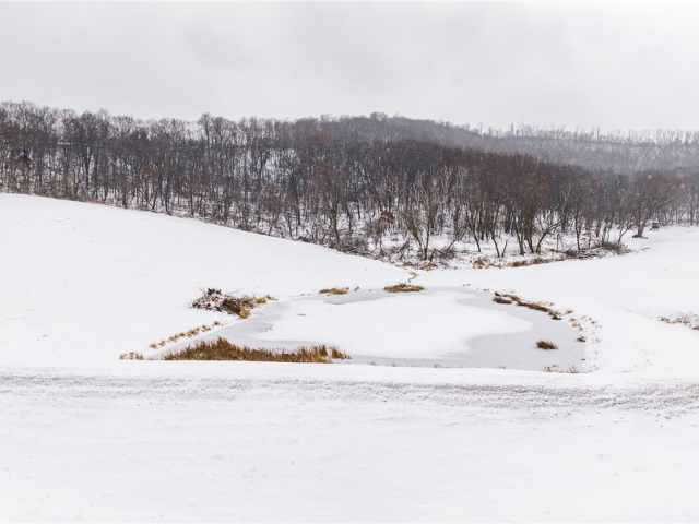 Arcadia Land Real Estate