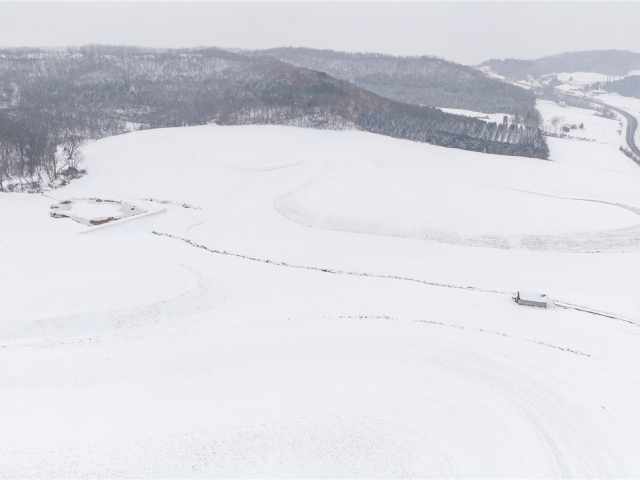 Arcadia Land Real Estate