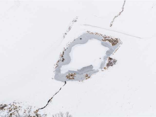 Arcadia Land Real Estate