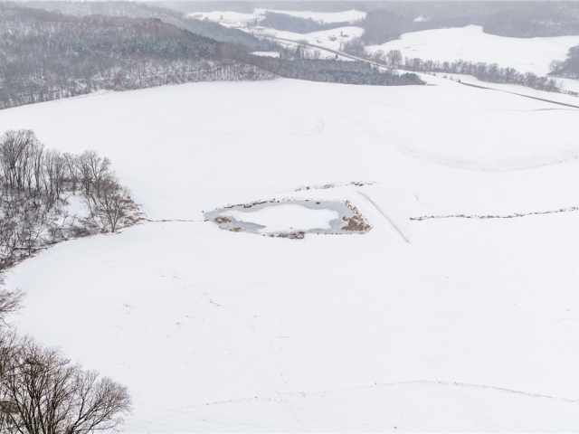 Arcadia Land Real Estate