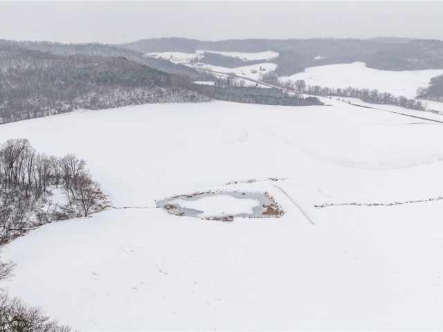 Arcadia Land Real Estate