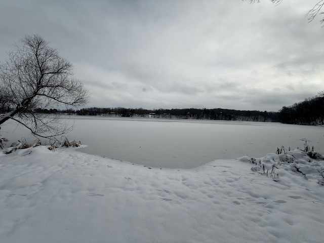 Rice Lake Land Real Estate