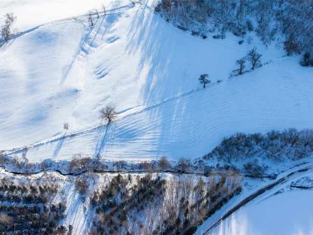 Independence Land Real Estate