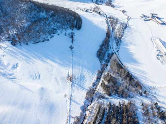 Independence Land Real Estate