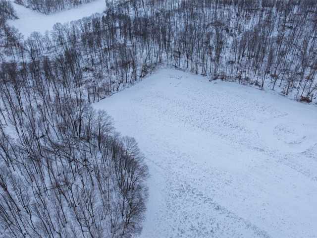 Hillsdale Land Real Estate