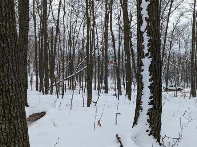 Birchwood Land Real Estate