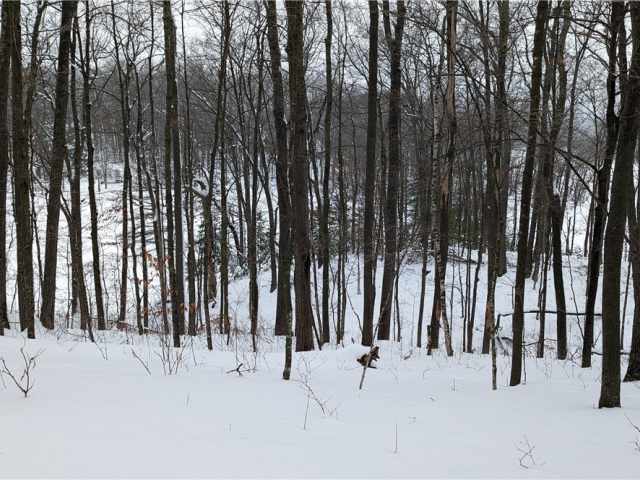 Birchwood Land Real Estate