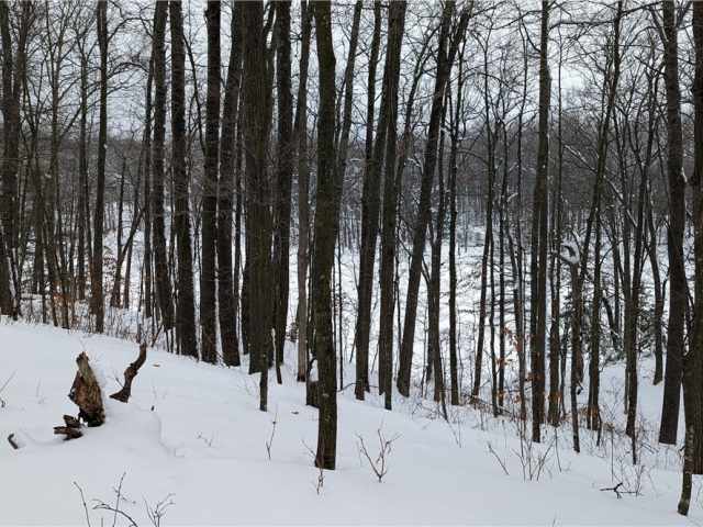 Birchwood Land Real Estate