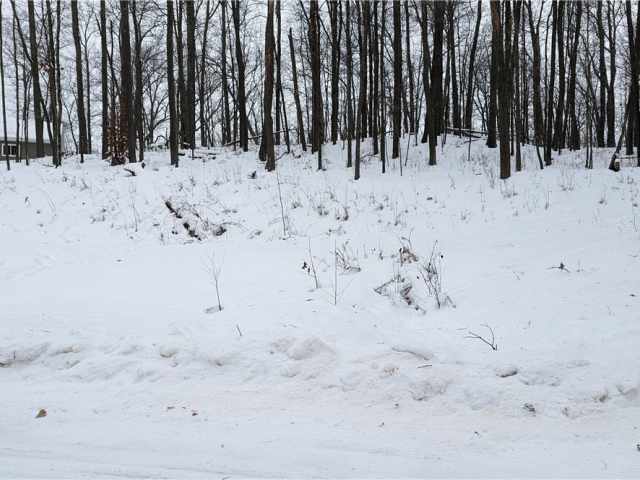 Birchwood Land Real Estate