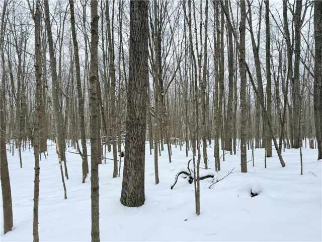 Rice Lake Land Real Estate