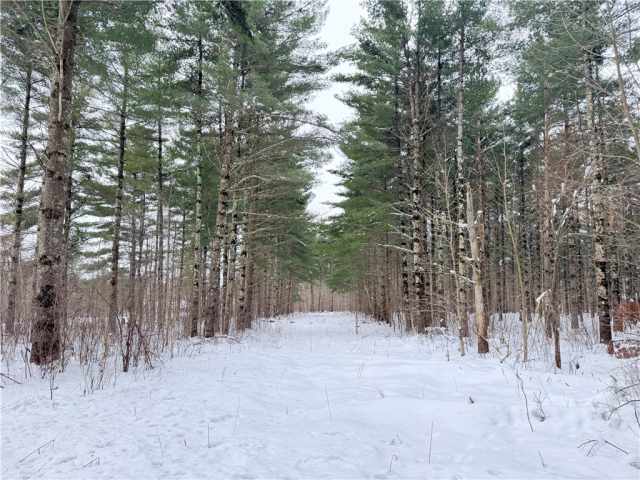 Rice Lake Land Real Estate