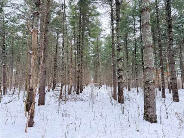 Rice Lake Land Real Estate