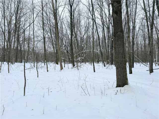 Rice Lake Land Real Estate