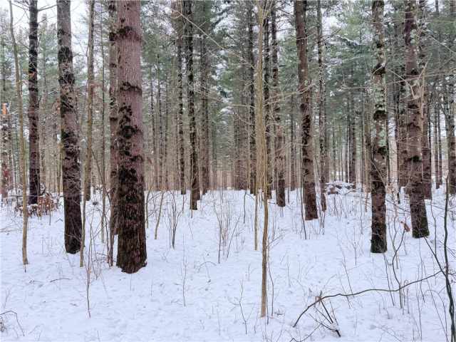 Rice Lake Land Real Estate