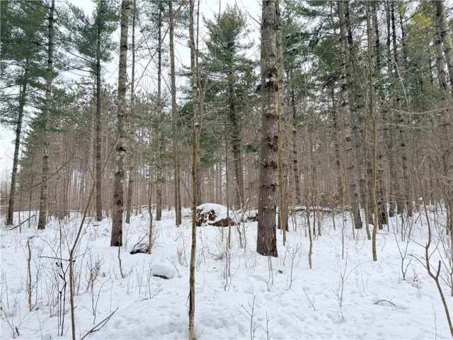 Rice Lake Land Real Estate