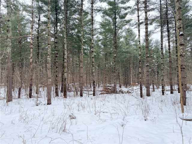 Rice Lake Land Real Estate