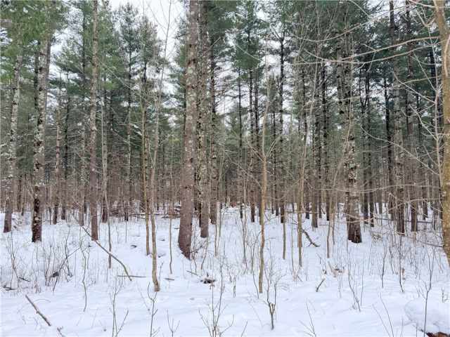 Rice Lake Land Real Estate