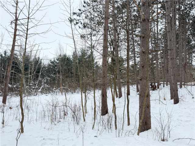 Rice Lake Land Real Estate