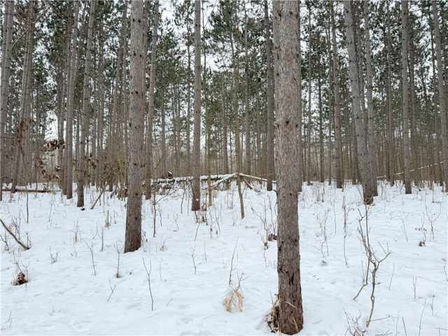 Rice Lake Land Real Estate