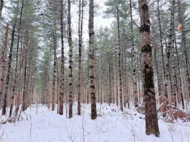 Rice Lake Land Real Estate