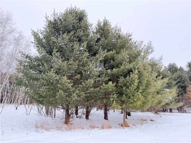 Rice Lake Land Real Estate