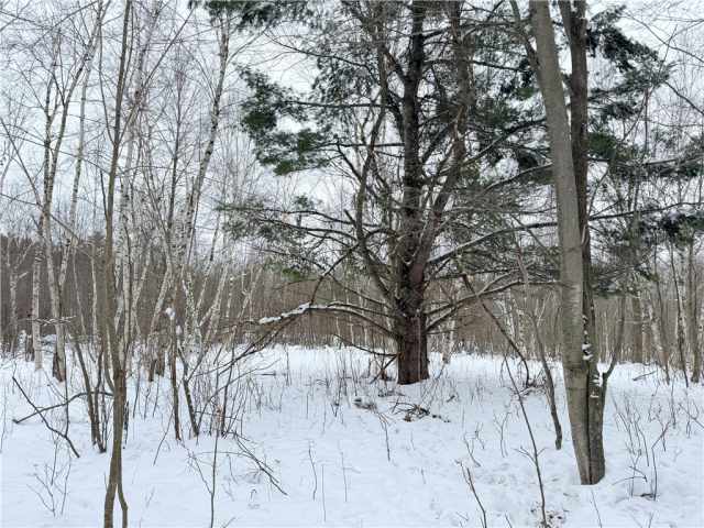 Rice Lake Land Real Estate