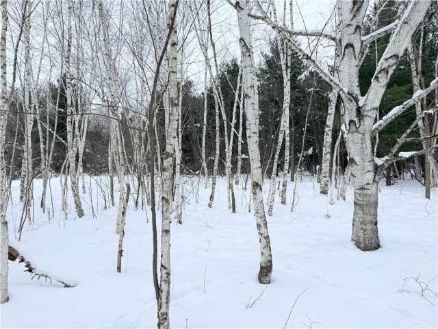 Rice Lake Land Real Estate