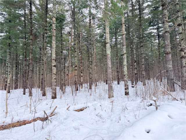 Rice Lake Land Real Estate