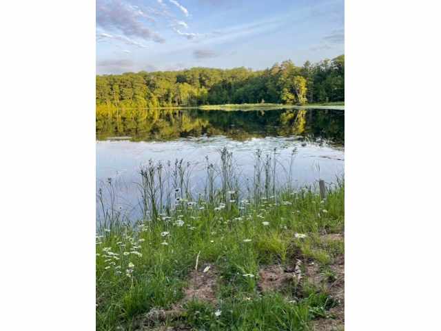 Hayward Residential Real Estate