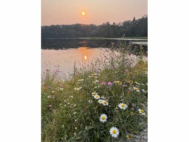 Hayward Residential Real Estate