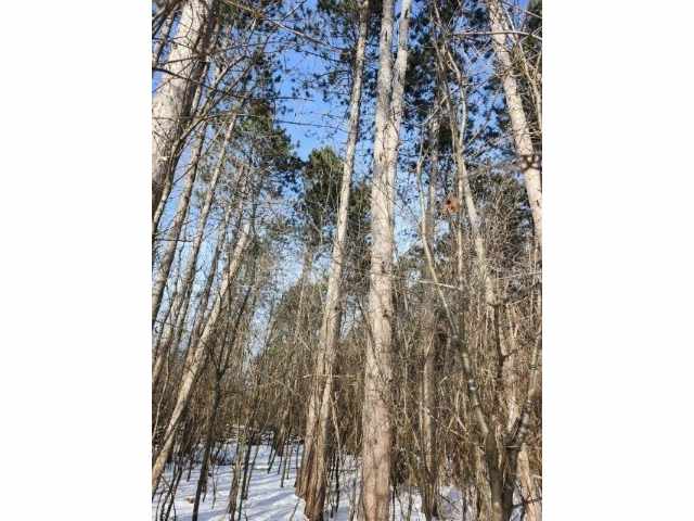 Eau Claire Residential Real Estate