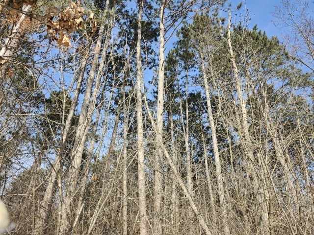 Eau Claire Residential Real Estate