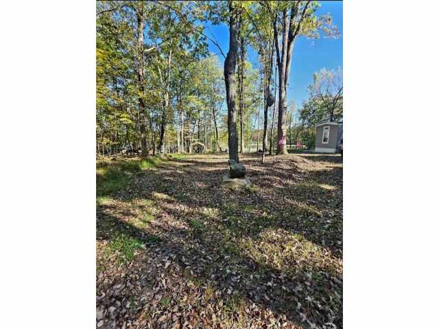 Bruce Residential Real Estate