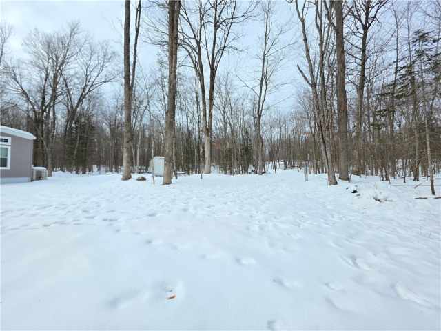 Bruce Residential Real Estate