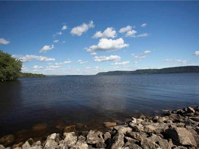 Pepin Residential Real Estate