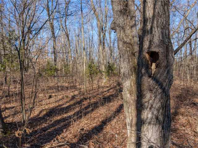 Fairchild Land Real Estate