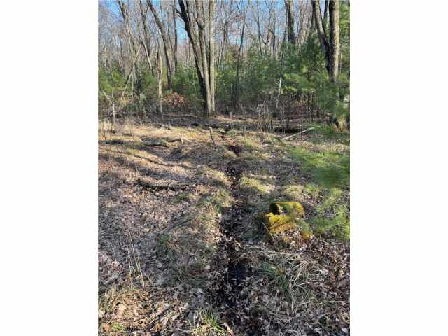 Fairchild Land Real Estate