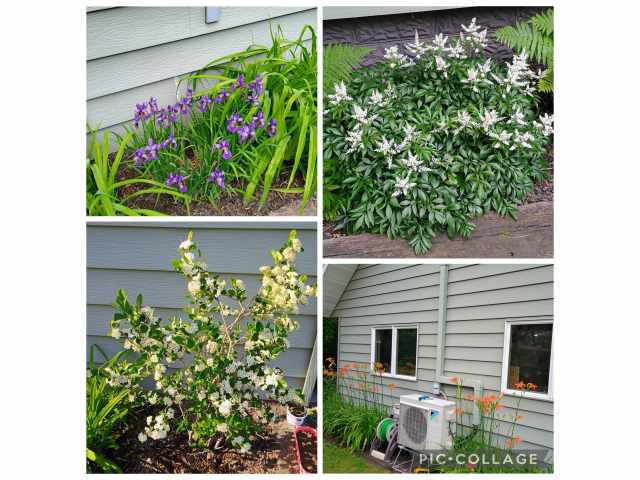 Eau Claire Residential Real Estate