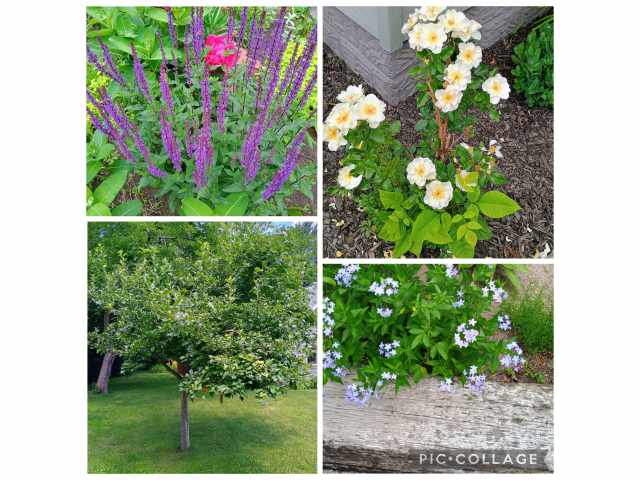 Eau Claire Residential Real Estate