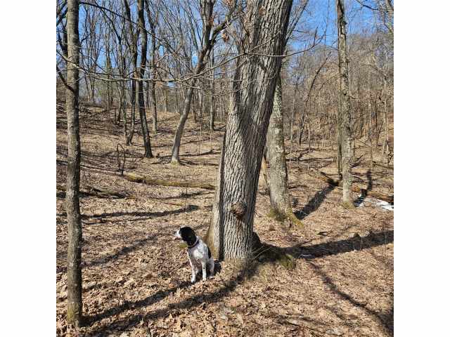 Fairchild Residential Real Estate