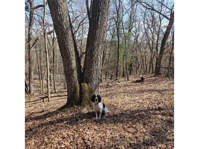 Fairchild Residential Real Estate