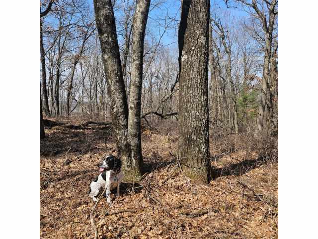 Fairchild Residential Real Estate