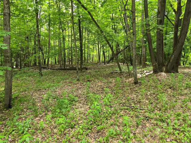 Menomonie Land Real Estate